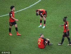 探索·发现栏目简介